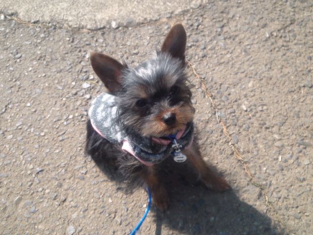 生後４ヶ月目の太郎の画像