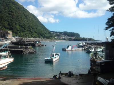 伊豆でダイビングの画像