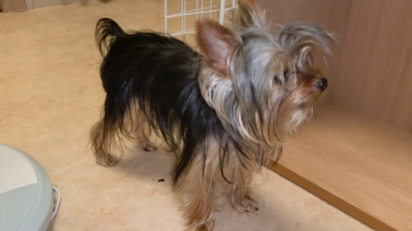 太郎おめでとう画像