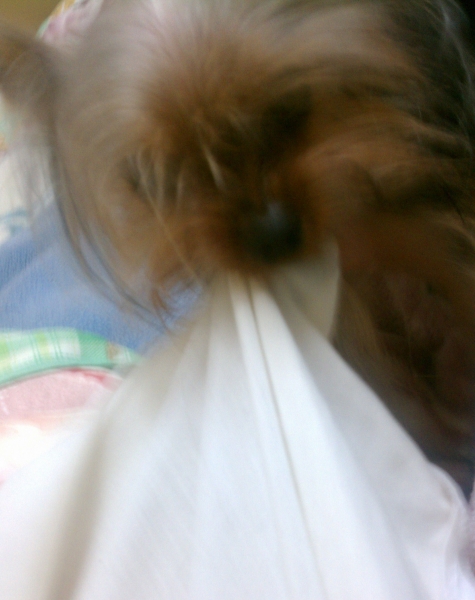 犯人太郎の画像