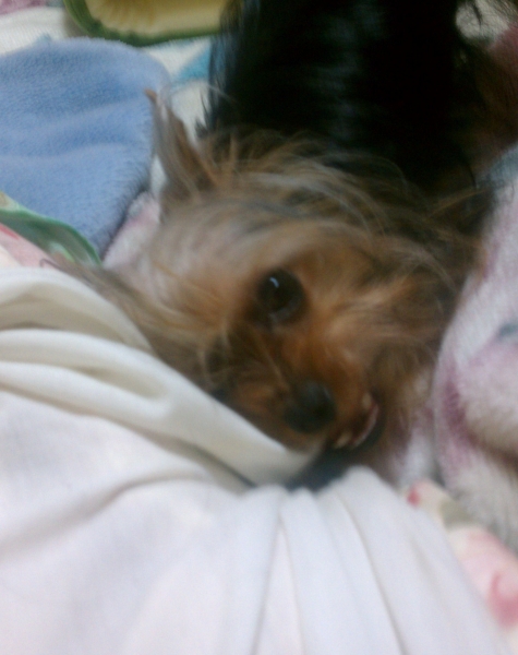 いたずらっ子の太郎の画像