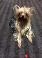 目線に気を使う太郎の画像