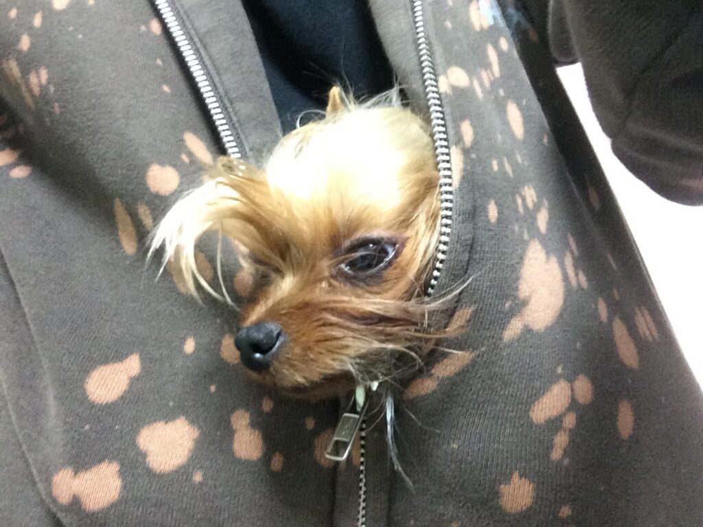 寒がり太郎の画像