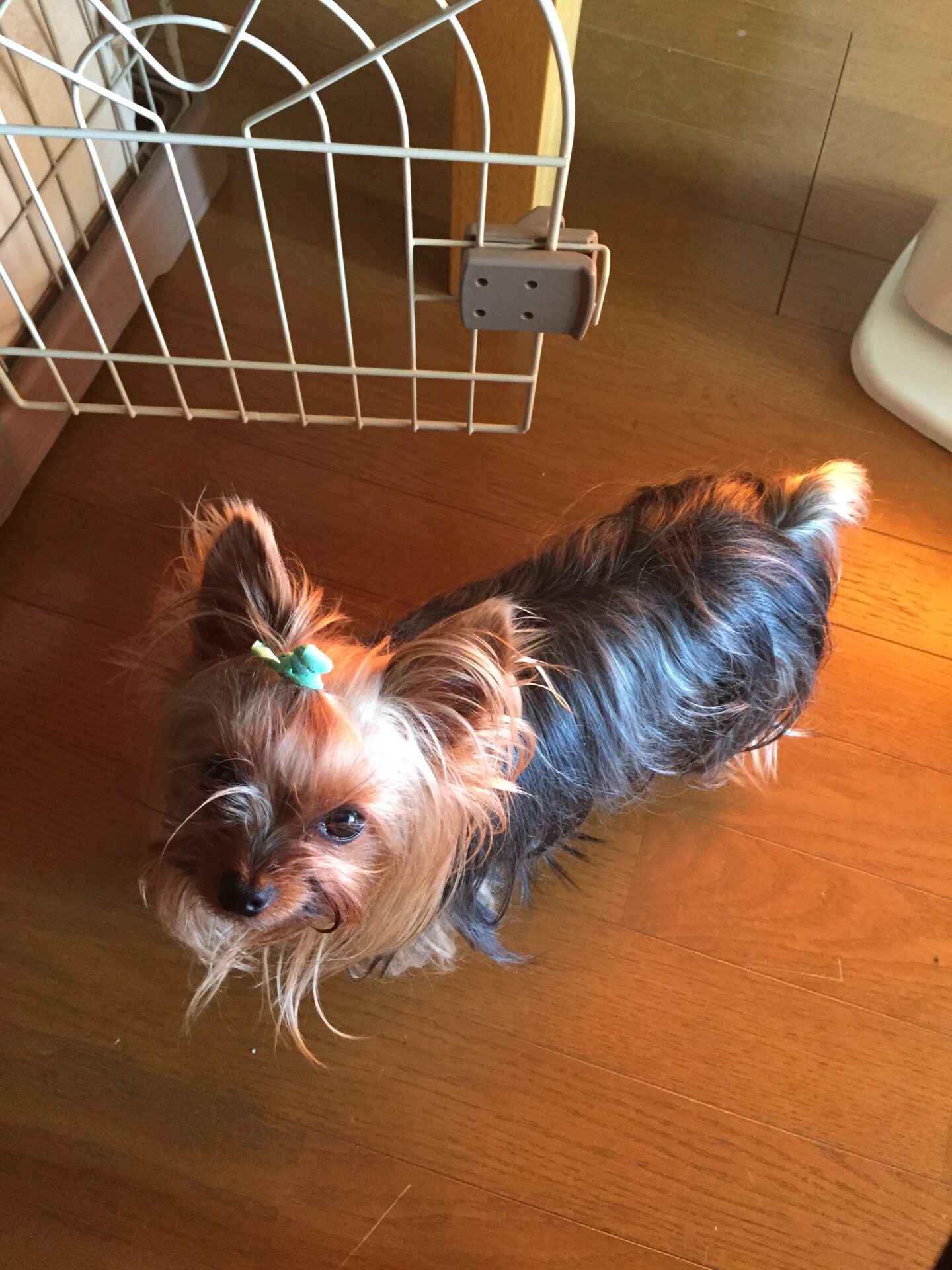 ストーブ大好き太郎の画像