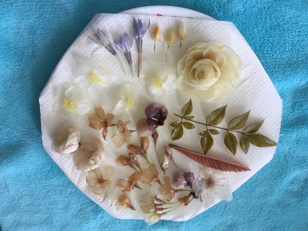 自作ブリザーブドフラワーのパーツ画像