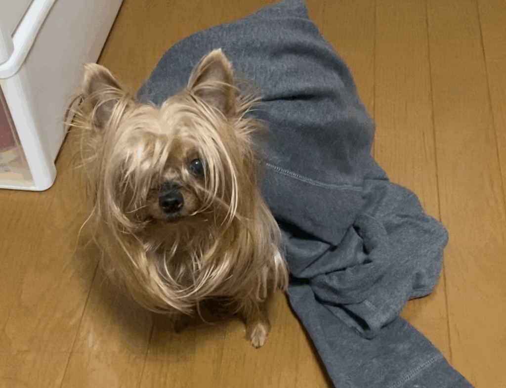 乗っかっても気になんない 太郎の画像