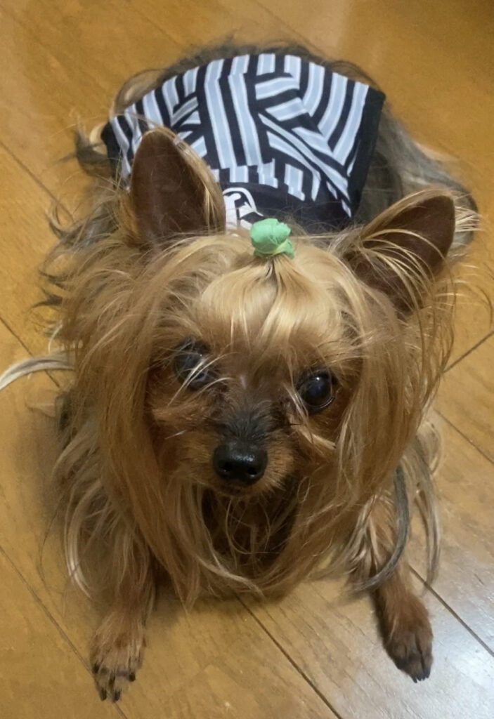 太郎の紋付袴のちゃんちゃんこ画像