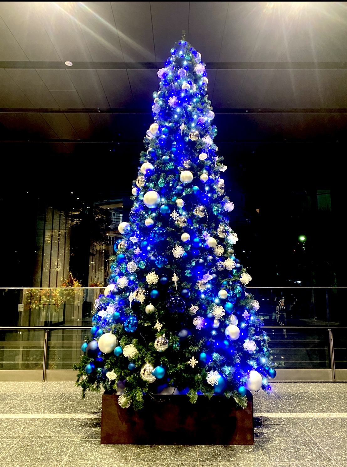 渋谷オフィスビル内のクリスマスツリーの画像